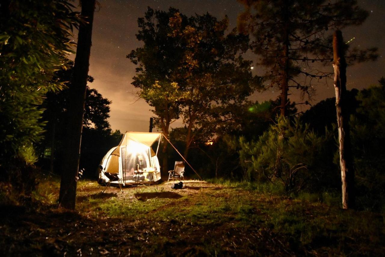 Agriturismo Ca Du Chittu Carro Εξωτερικό φωτογραφία
