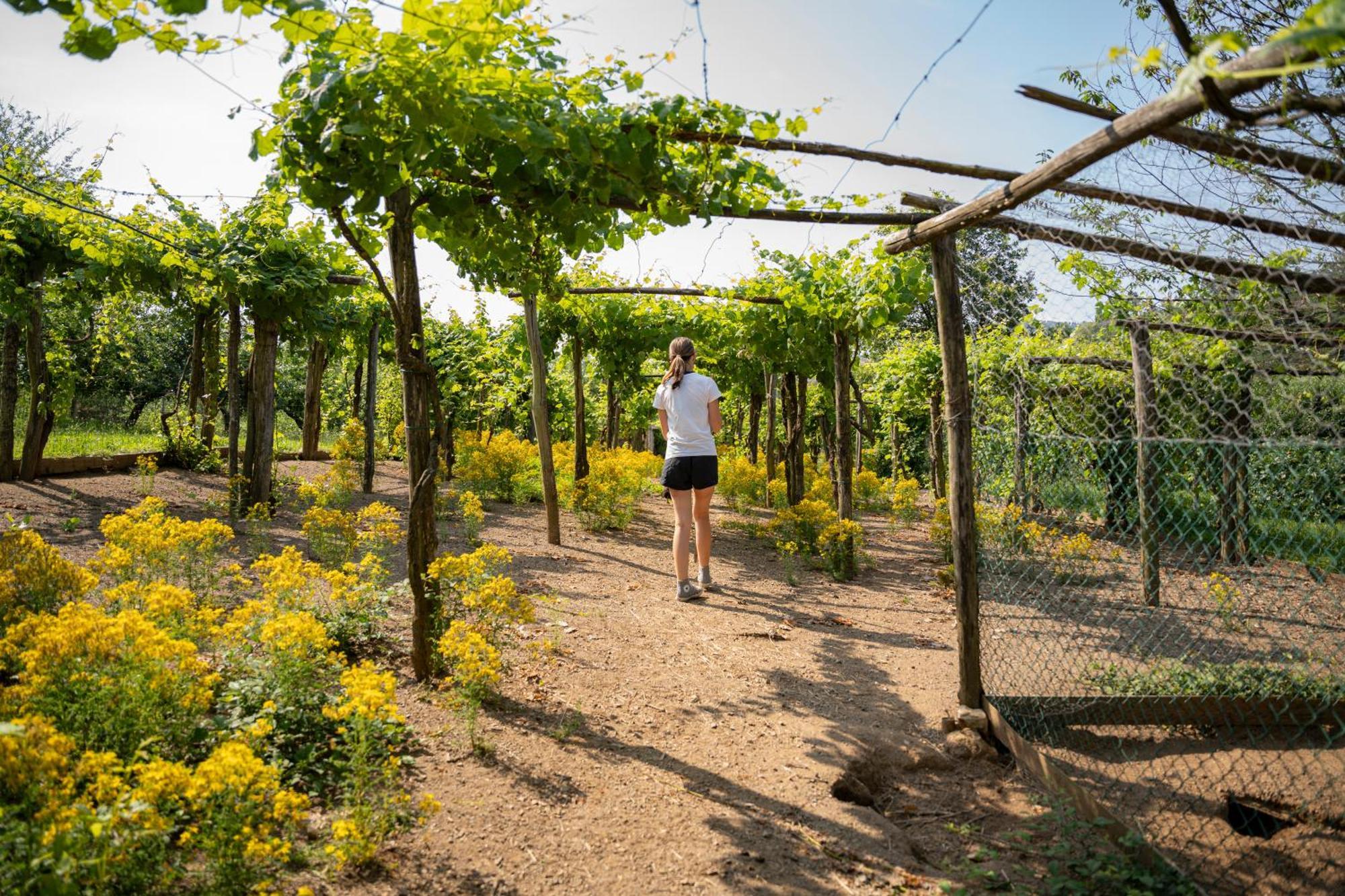 Agriturismo Ca Du Chittu Carro Εξωτερικό φωτογραφία