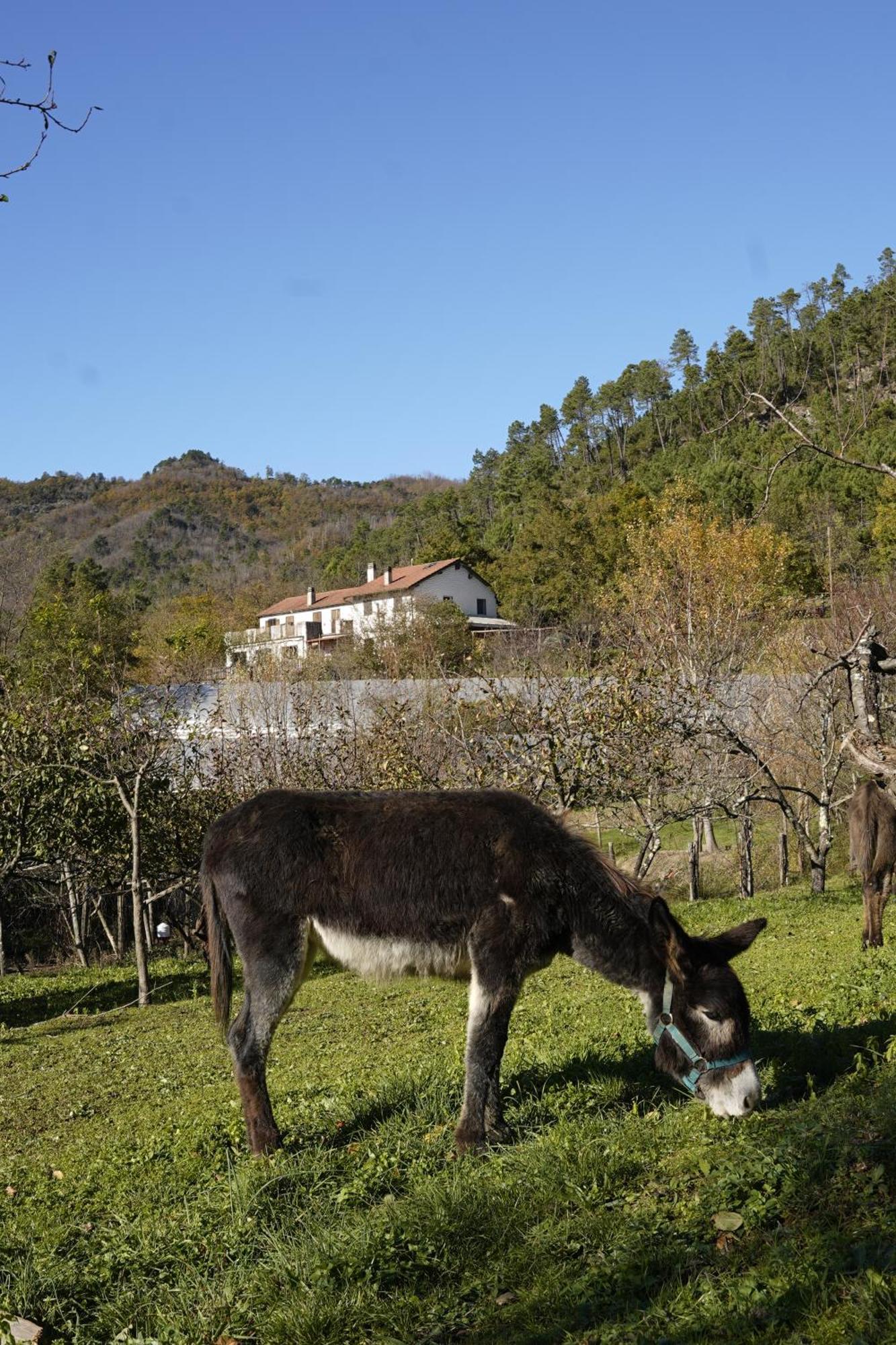 Agriturismo Ca Du Chittu Carro Εξωτερικό φωτογραφία