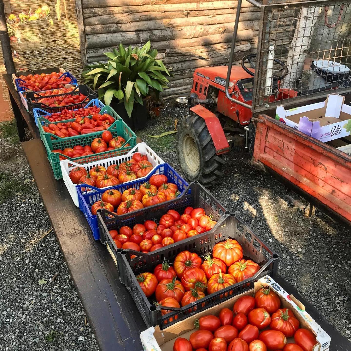 Agriturismo Ca Du Chittu Carro Εξωτερικό φωτογραφία